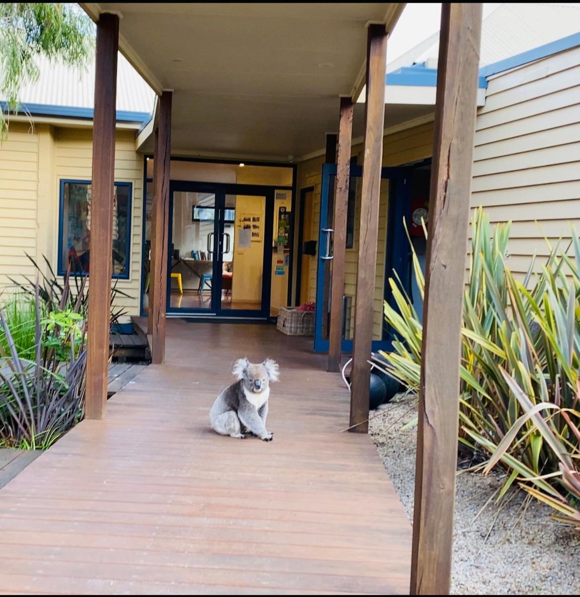 Sandpiper Motel Apollo Bay Esterno foto